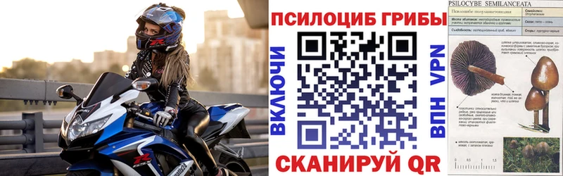 закладка  Фокино  Галлюциногенные грибы ЛСД 